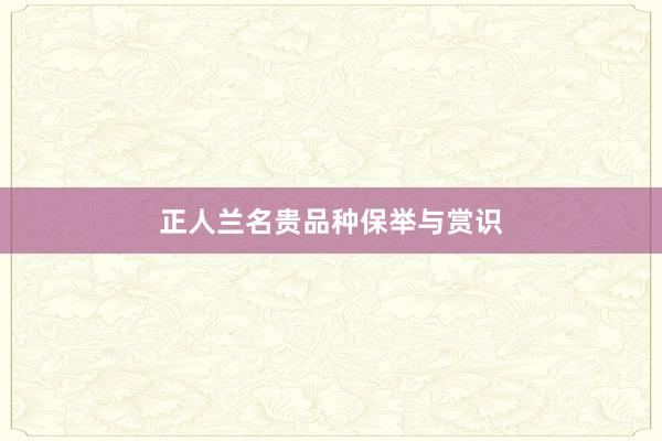 正人兰名贵品种保举与赏识